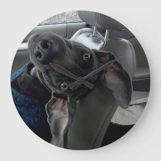 Umgedrehte Weimaraner Wanduhr