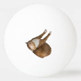 Umgedrehtes-Sonnenschein-Katze Tischtennisball