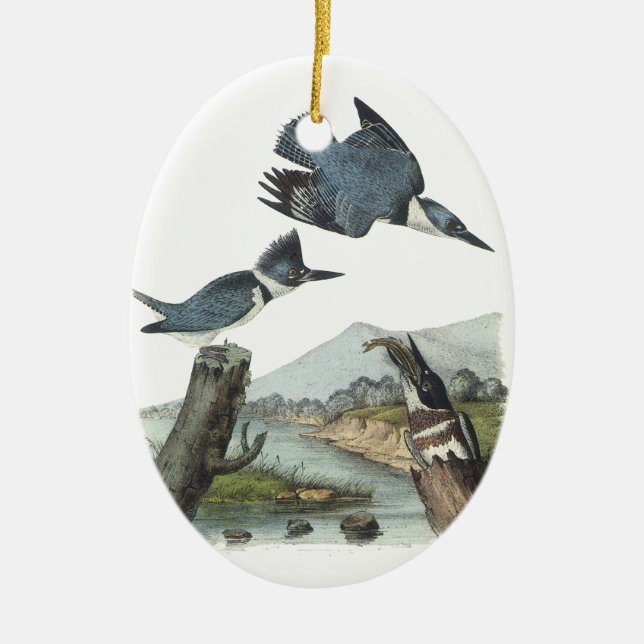 Umgeschnallter Eisvogel, John Audubon Keramik Ornament (Vorne)