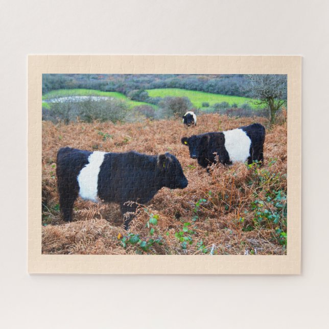 Umgeschnalltes Galloway-Vieh Puzzle (Horizontal)
