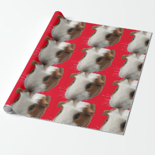 Umhüllungspapier aus roter Guinea Geschenkpapier