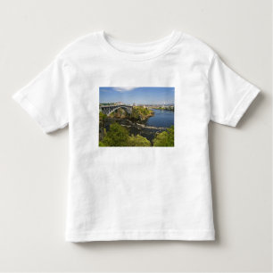 Umkehrung fällt auf den St. John River bei St. 2 Kleinkind T-shirt