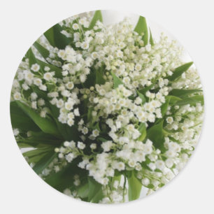 Umschlag Aufkleber-KLEIDERSTECKER Runder Aufkleber