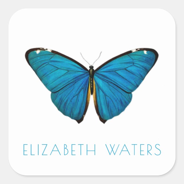 UMSCHLAG AUFKLEBER STICKER: BLAUE BUTTERFLY (Vorderseite)