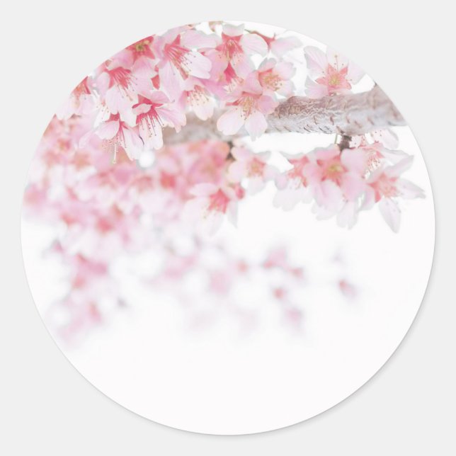 UMSCHLAG AUFKLEBER STICKER : CHERRY BLOSSOM (Vorderseite)