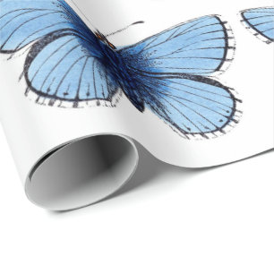 Umschlagpapier - Blauer Schmetterling Geschenkpapier