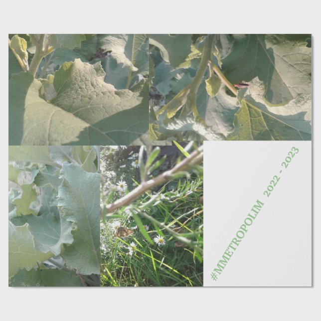 Umschlagpapier/MMETROPOLIMdesign Geschenkpapier (Flach)