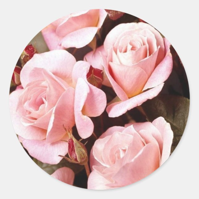 Umschlagsiegel Runder Aufkleber (Vorderseite)