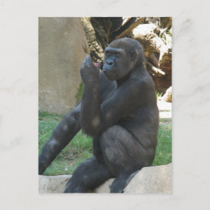 Umsichtige Gorilla Postkarte