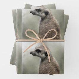 Umsichtige Papierblätter aus Meerkat Geschenkpapier Set