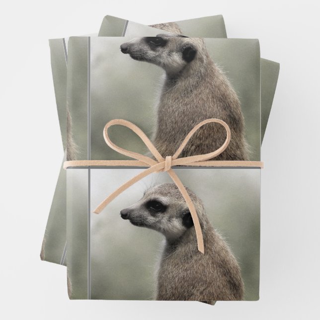 Umsichtige Papierblätter aus Meerkat Geschenkpapier Set (Beispiel)