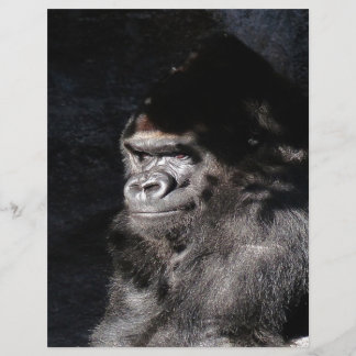 Umsichtiger Gorilla