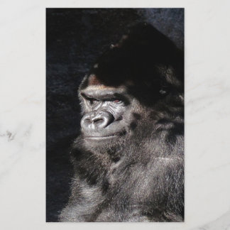 Umsichtiger Gorilla