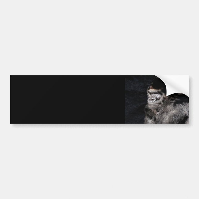 Umsichtiger Gorilla Autoaufkleber (Vorne)
