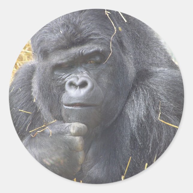 Umsichtiger Gorilla-Sticker Runder Aufkleber (Vorderseite)
