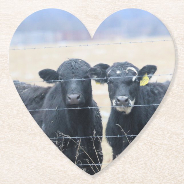 Umstehende Untersetzer (Vorderseite)