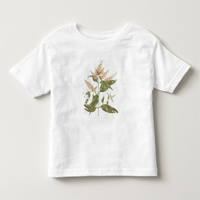Umtar (Buddleia polystachya) (w/c über Graphit an Kleinkind T-shirt (Vorderseite)