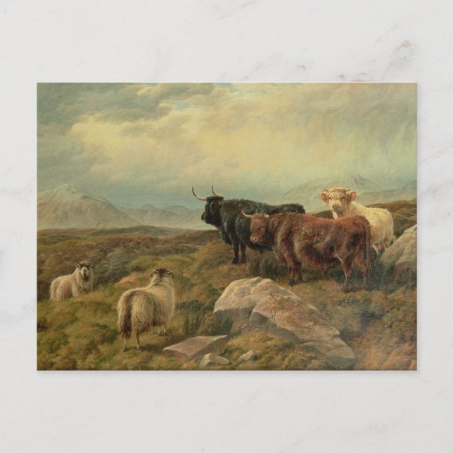 Umverteilung Postkarte (Vorderseite)