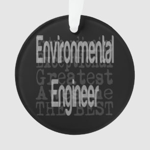 Umweltingenieur Ornament