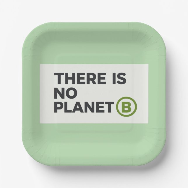 Umweltschützer ohne Planet B  Pappteller (Vorderseite)