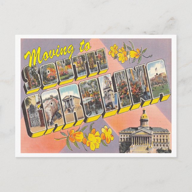 Umzug nach South Carolina Vintager Adressenwechsel Ankündigungspostkarte (Vorderseite)