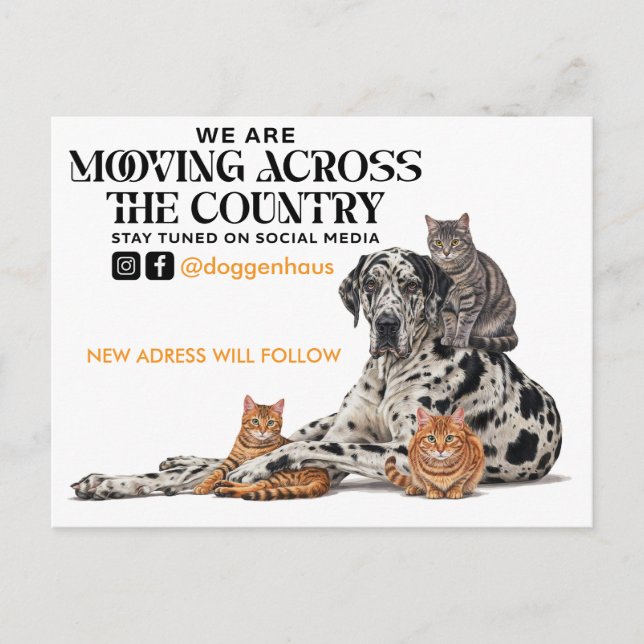 Umzug quer durchs Land Great Dane & Katze Postkarte (Vorderseite)