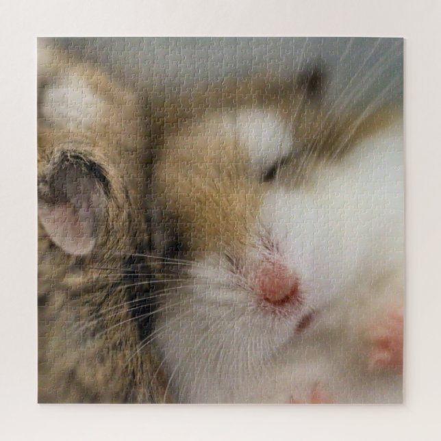 Umzug über den Bob Puzzle (Vertikal)