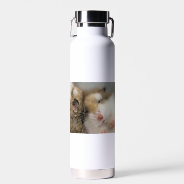 Umzug über den Bob Trinkflasche (Vorne)