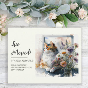 Umzugsmeldung Calico-Katze Gänseblümchen Lavendel Postkarte