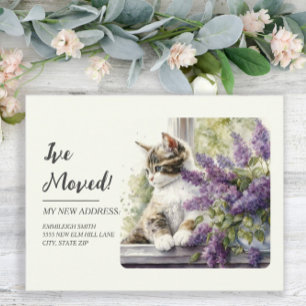 Umzugsmeldung Katzenfenster Lavendelblüten Postkarte
