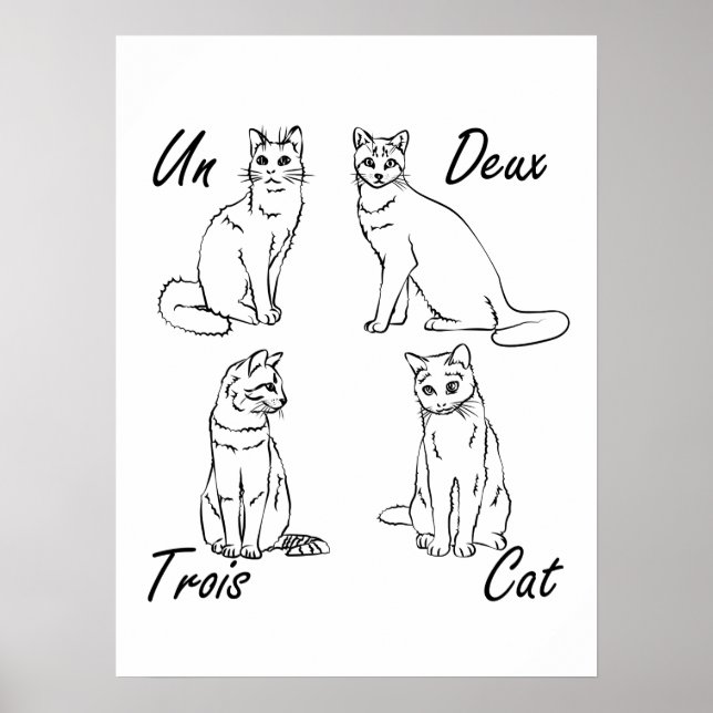 Un Deux Trois Cat Funny Französisch Poster (Vorne)