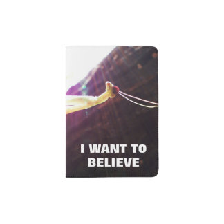 UN-Plausibilität Passhülle