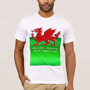 UN-Preisträger feiern Welsh Flag T-Shirt