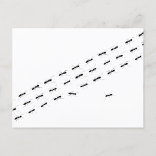 Unabhängige Ameisen Postkarte