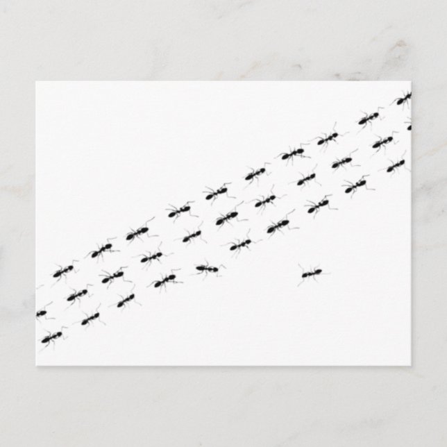 Unabhängige Ameisen Postkarte (Vorderseite)