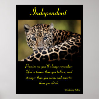 Unabhängige Poster Tier 20