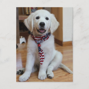 Unabhängigkeitstag, 4. Juli Postkarte