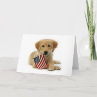 Unabhängigkeitstag-golden retriever-Welpe
