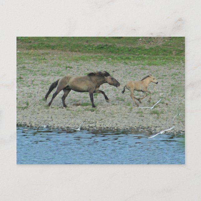 unartig postkarte (Vorderseite)