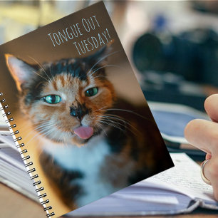 Unartige Dreifarbig Katze Zunge Raus Notizbuch Notizblock