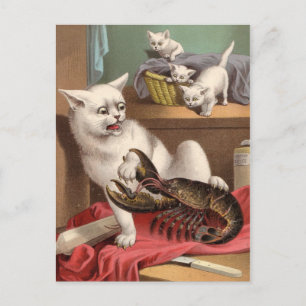 Unartige Katzen & Hummer Postkarte