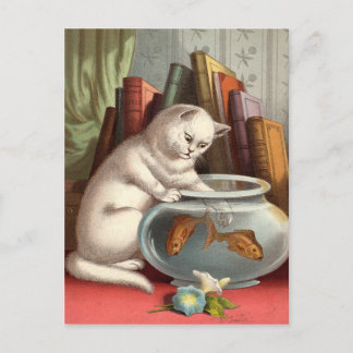 Unartige Katzen Postkarten