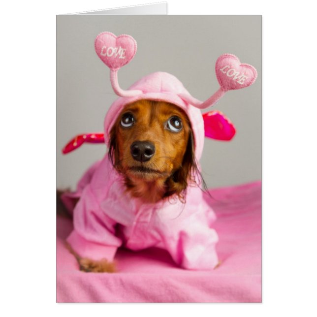 Unbedingte Liebe (Vorne)