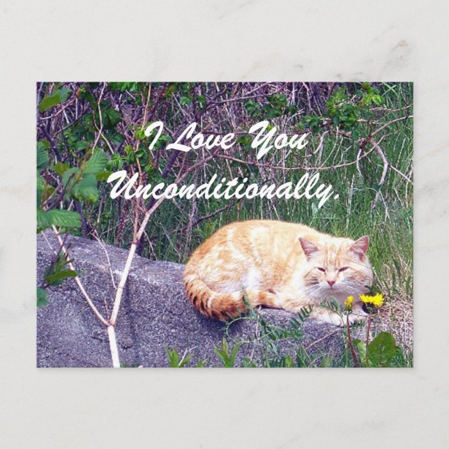 Unbedingte Postkarte (Vorderseite)