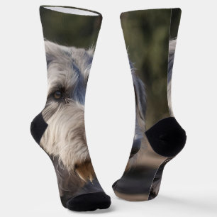 "Unbeeindruckte Majestät: Der stoische Blick der W Socken
