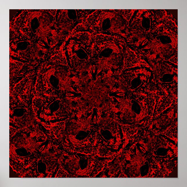 Unbegrenzte Klugheit der Eulen Poster (Vorne)