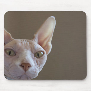 Unbehaarte Katzen-Mausunterlage Mousepad