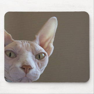 Unbehaarte Katzen-Mausunterlage Mousepad