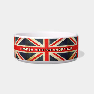 Unbehagen in der Union Jack British Shorthair Cat  Napf