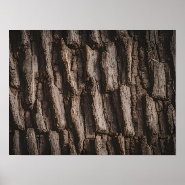 Unbehandelte natürliche Baumrinde Textur Poster (Vorne)
